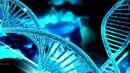 Подобрява се методът за конструиране на ДНК