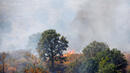 Горски пожар край Бобошево, заради човешко безхаберие горят над 100 дка
