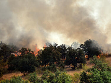 Пожарът край Лесово продължава да бушува 