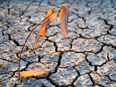 Глобално затопляне е причината за невижданата суша в Калифорния
