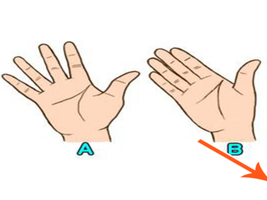 Какво говори разстоянието между пръстите ви за вашия характер? (ТЕСТ)