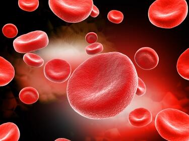 Варненска болница получи апарат за извънтелесно очистване на кръвта
