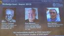 Трима учени с Нобелова награда за химия за изследване на ДНК
