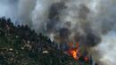 Пожар изпепелява над 300 дка гори в района на Габрово