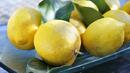 Турските лимони изпаднаха от забранителния списък на Русия заради водката