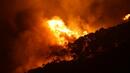 Големият пожар в Югоизточна Австралия изгори над 100 къщи