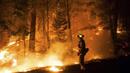Голям горски пожар бушува в Златоградско, обхванал е над 100 дка