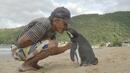 Пингвин преплува по 8000 км годишно, за да види своя спасител (ВИДЕО)