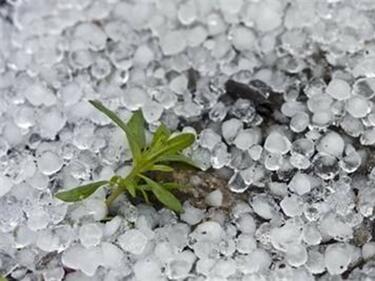 Градушки по 24 май! Вижте къде