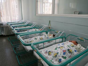 МЗ: Раждаемостта драстично спада
