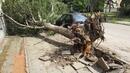 Адска буря в Русе наводни улици, изкорени дървета