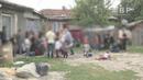 Хванаха 162-ма нелегални мигранти при спецакцията в София