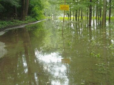 Във Видин забраняват къпането в необезопасени водоеми