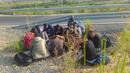 Хванаха 87 мигранти за ден на българо-сръбската граница