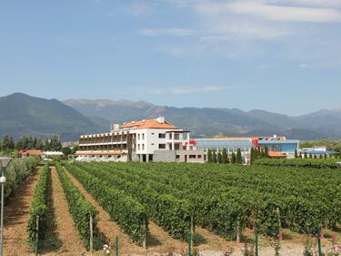 Uva Nestum Wine & SPA пренася гостите си с винено пътешествие до Гърция 