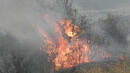 Червен код за опасност от пожари за области Хасково и Ямбол
