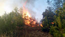 Огнено бедствие край Тополовград! Евакуират застрашено село