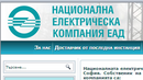 НЕК излиза на печалба тази година?