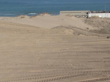 Проверяват има ли разорани дюни на Оазис