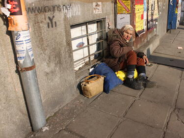 Двата приюта за бездомни във Великотърновско спряха да приемат хора