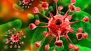 Кълнове от Долна Саксония - източникът на Е.coli