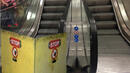 Ужас в метрото!  Жена се хвърли под влак на „Жолио Кюри“