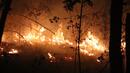 Огнен ад в Нова Зеландия, евакуираха над 1000 души