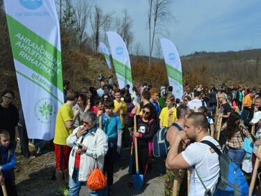 Залесяват България с 220 000 дръвчета