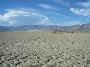 Световен ден за борба със сушата и настъпването на пустините 