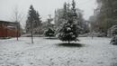 Зимата се върна! Сняг, градушки и дъждове блокираха България