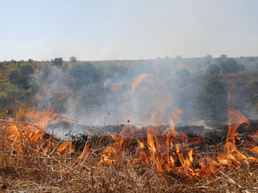 Повече от 35 хиляди пожари са гасени на територията на страната