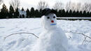 Помощ, някой ми открадна снежния човек!