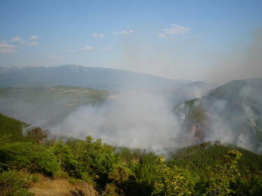 Големият горският пожар край Стара Кресна е овладян
