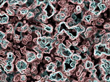 Заради E.coli Франция спря внос на семена от британска компания