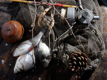 Предлагат до 8 години затвор за незаконен риболов