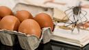 В Холандия вече има арести за заразените яйца
