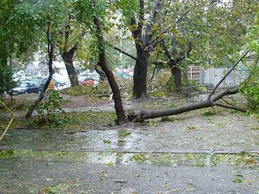 Мощна буря нанесе щети за милиони в Южна Чехия