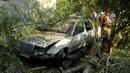 Започва проверка за опасни дървета в София