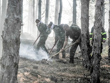 Военните отново се включиха в гасенето около Кресна