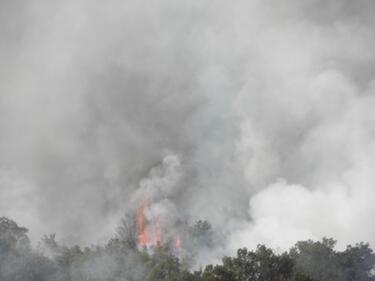 Нови пожари пламнаха в Гърция