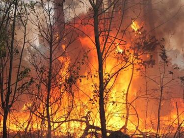 Увеличават се жертвите на пожарите в Португалия и Испания