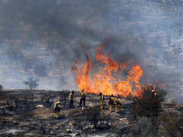 Жертвите на пожарите в Калифорния може да надхвърлят 100