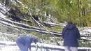 Ураганните ветрове в Смолянско унищожиха много гора