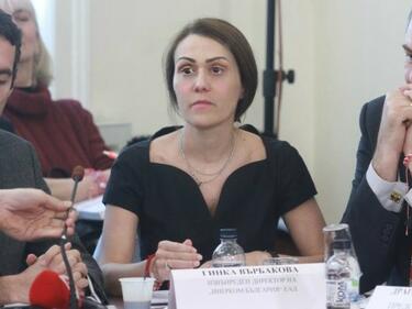 Гинка Върбакова: Интересите на отпаднали кандидати стоят зад драмата около сделката за ЧЕЗ
