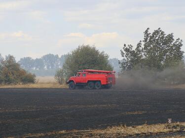 Бор падна върху кабел и запали пожар в Кресненското дефиле