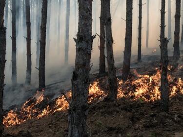 Пожарите в Калифорния се разрастват 