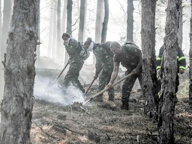 И военните се притекоха на помощ за пожара в Карловско