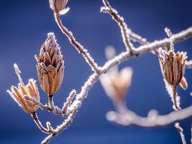 Вижте каква зима ни очаква