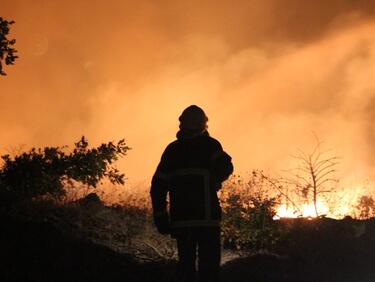 До 71 нараснаха жертвите на пожарите в Калифорния