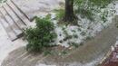 Комисии оценяват щетите след градушките в Северна България
